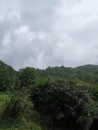 VID_20250728_150251_055