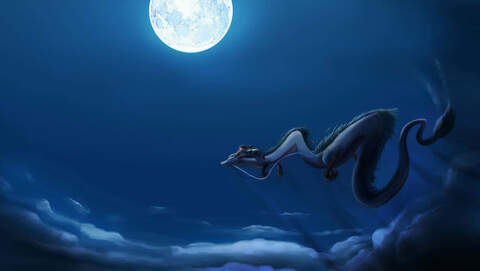 Profile photo of WillowWatcher