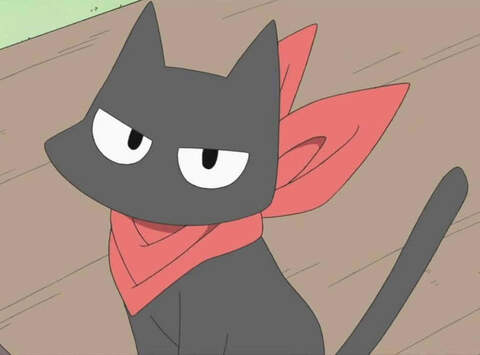 Profile photo of MoxTrekker