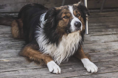 Profile photo of CharmWeaver