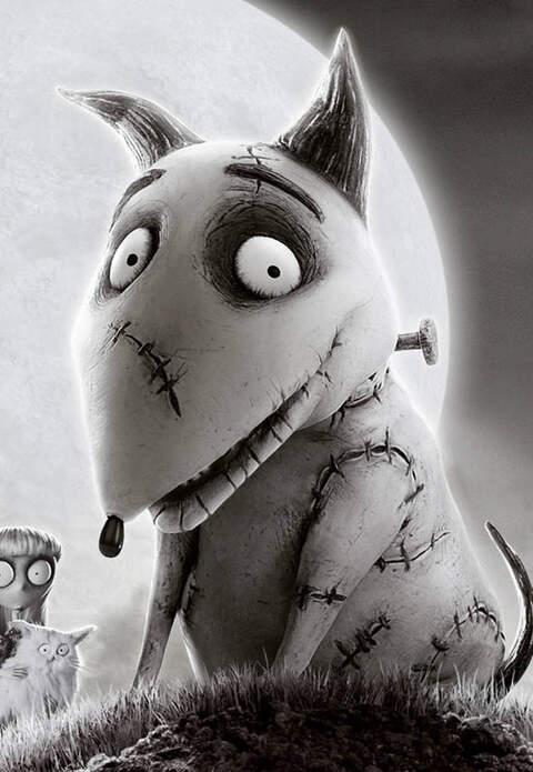 Profile photo of MoxCaller