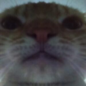 Profile photo of Axolotl Boi