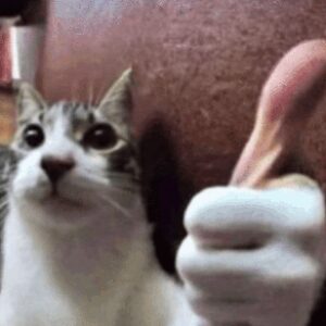 Profile photo of Seb the New Guy