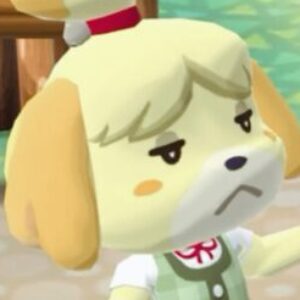 Profile photo of Kitaa